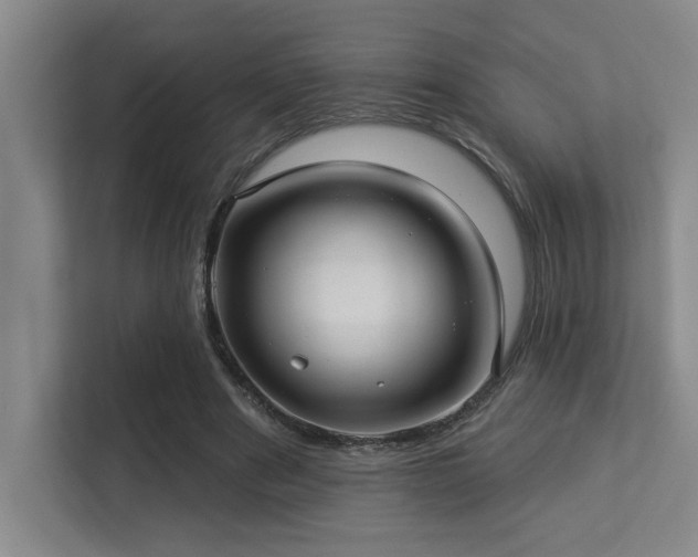X0000113270489200909101522