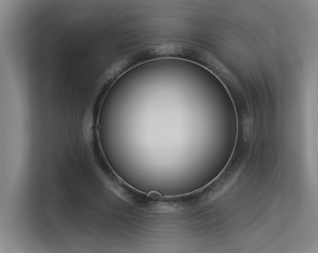 X0000113270490200909101522