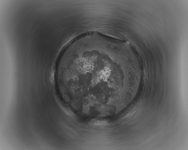 X0000113270491200909101522