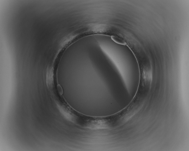 X0000113270492200909101522