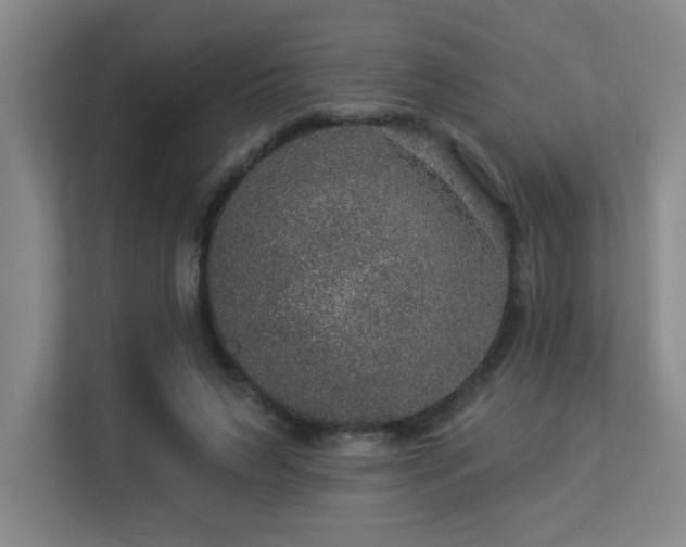 X0000113270495200909101522