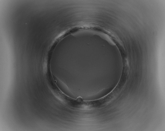 X0000113270496200909101522