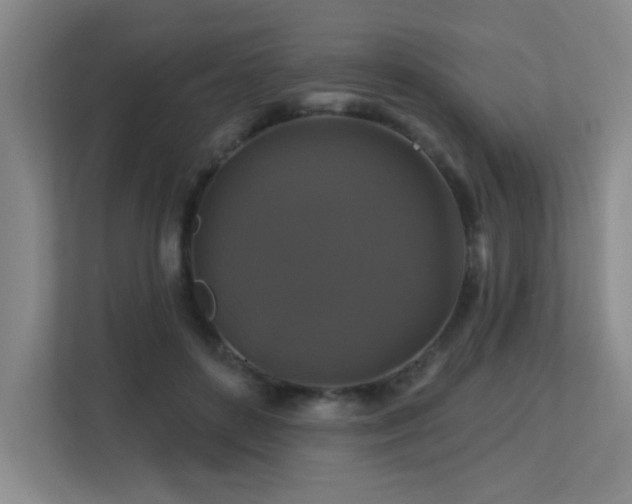 X0000113270504200909101522
