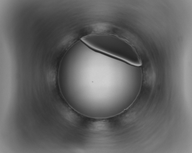 X0000113270505200909101522