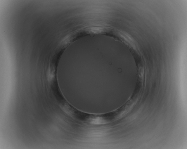X0000113270507200909101522