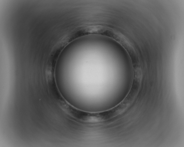 X0000113270510200909101522