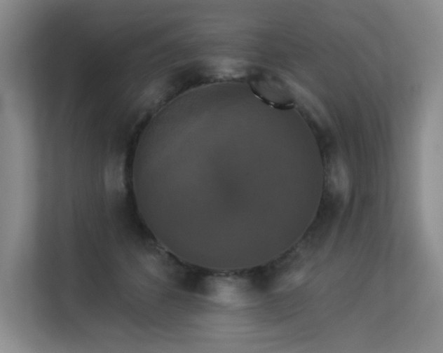 X0000113270512200909101522