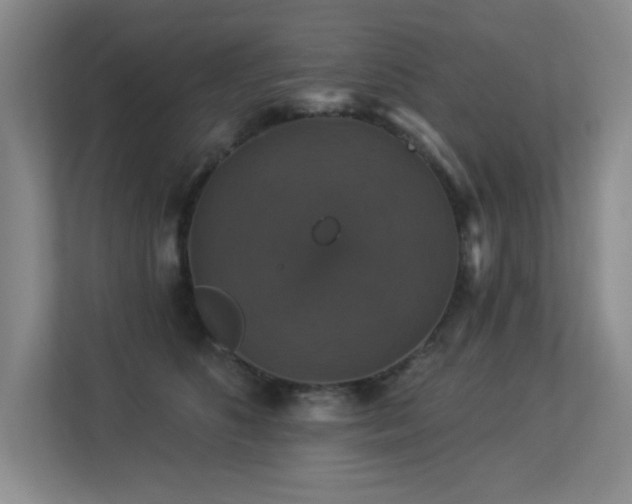 X0000113270516200909101522