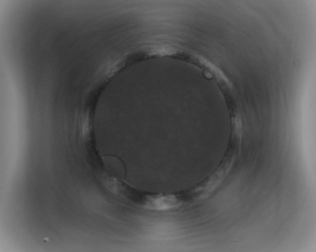 X0000113270517200909101522