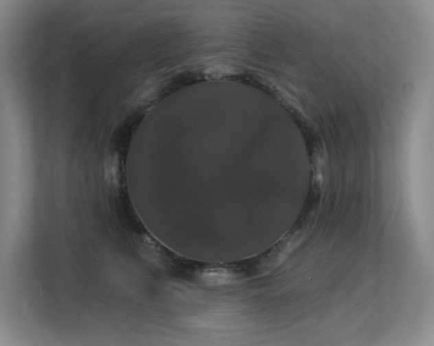 X0000113270519200909101521