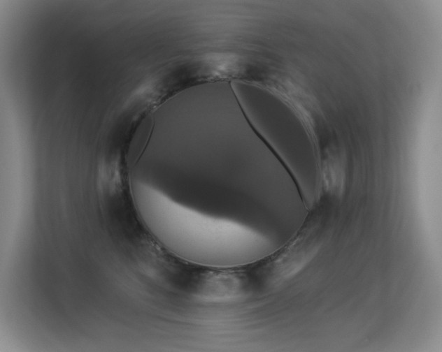 X0000113270520200909101521
