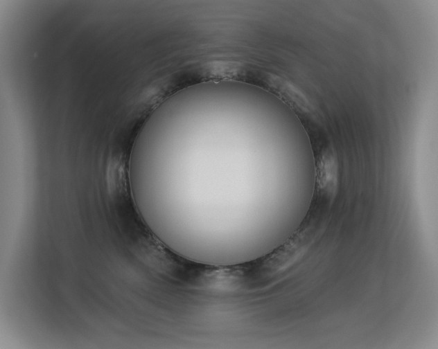 X0000113270522200909101521