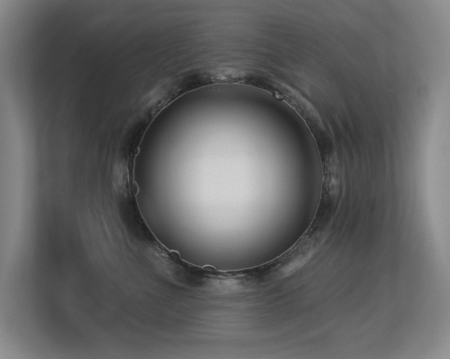 X0000113270523200909101521