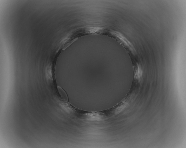 X0000113270524200909101521