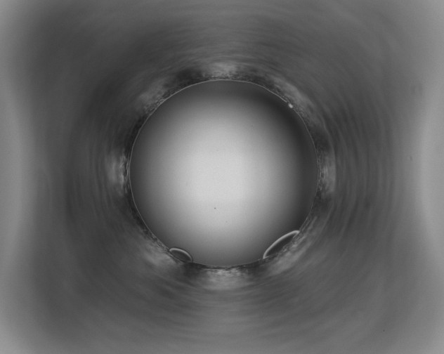 X0000113270525200909101521