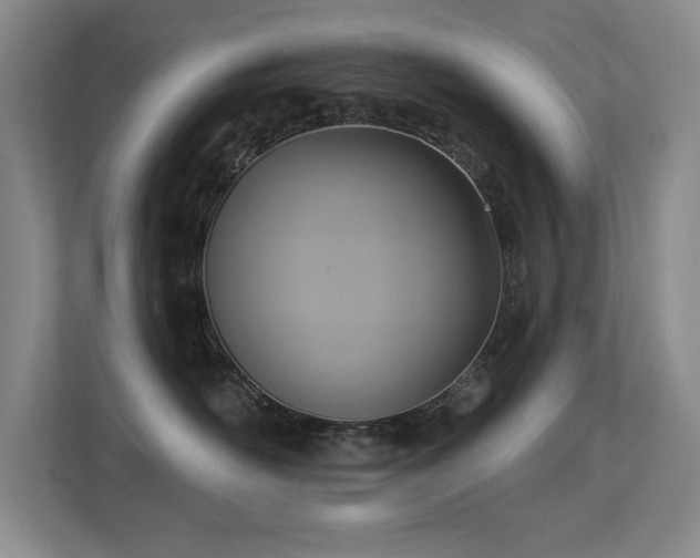 X0000113270526200909101521