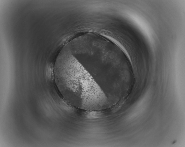 X0000113270527200909101521