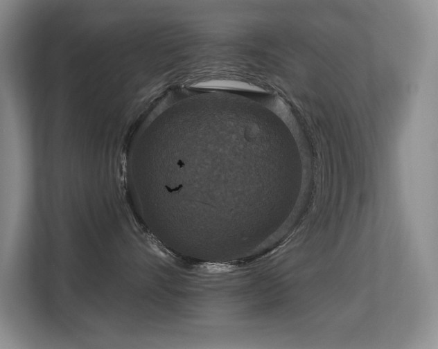 X0000113270528200909101521