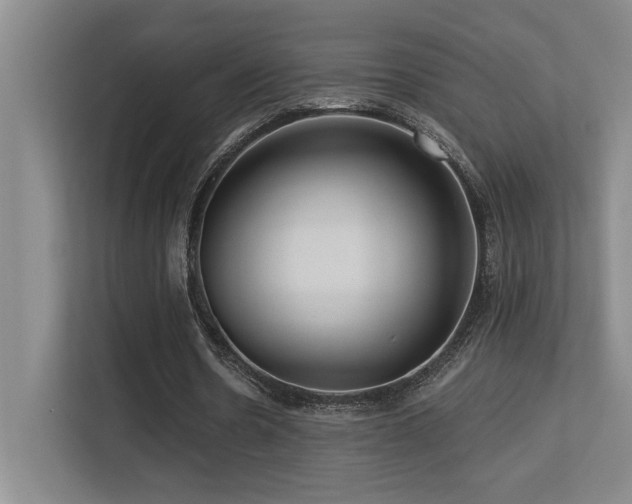X0000113270530200909101521