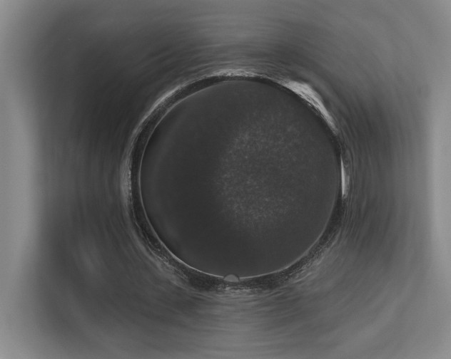 X0000113270531200909101521