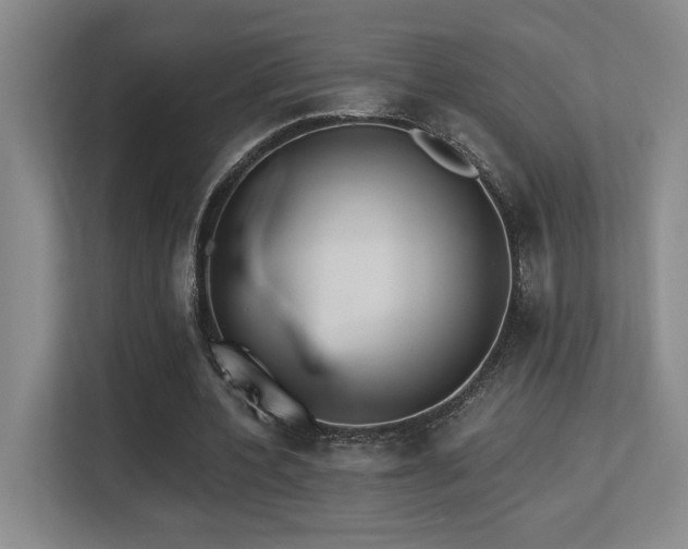 X0000113270532200909101521