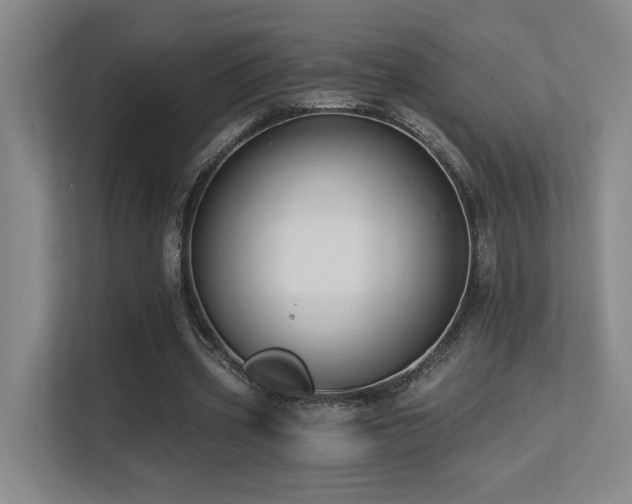 X0000113270533200909101521