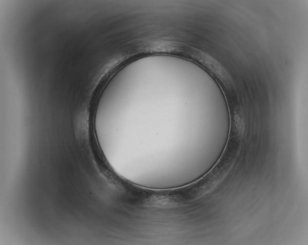 X0000113270534200909101521