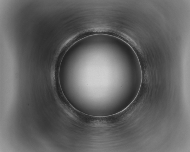 X0000113270535200909101521