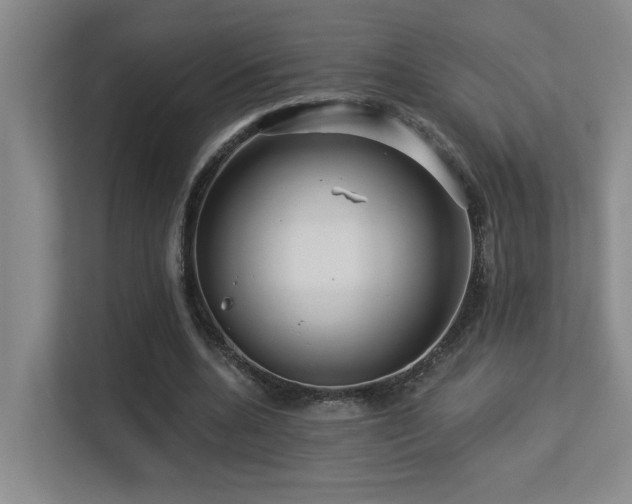 X0000113270536200909101521