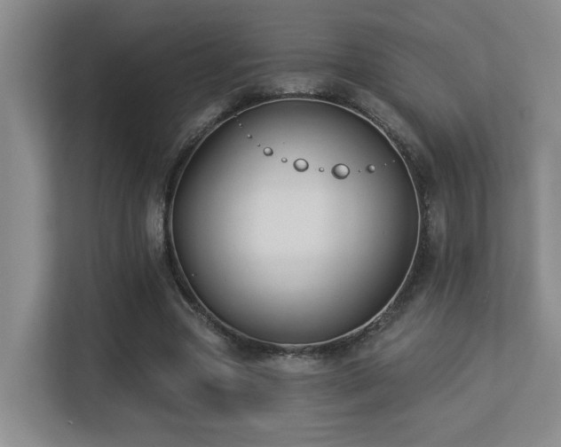 X0000113270537200909101521