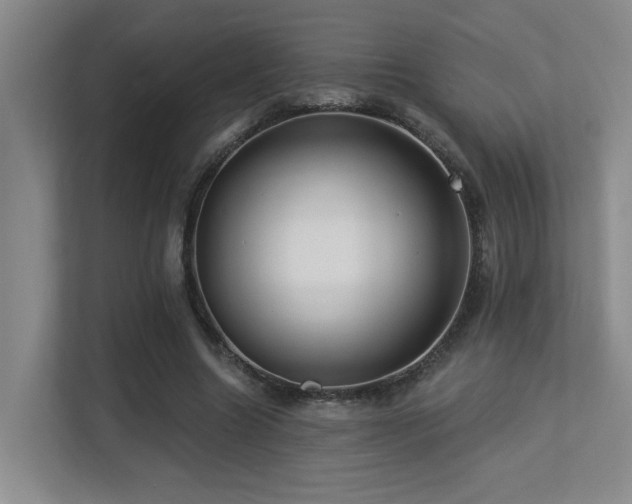X0000113270538200909101521