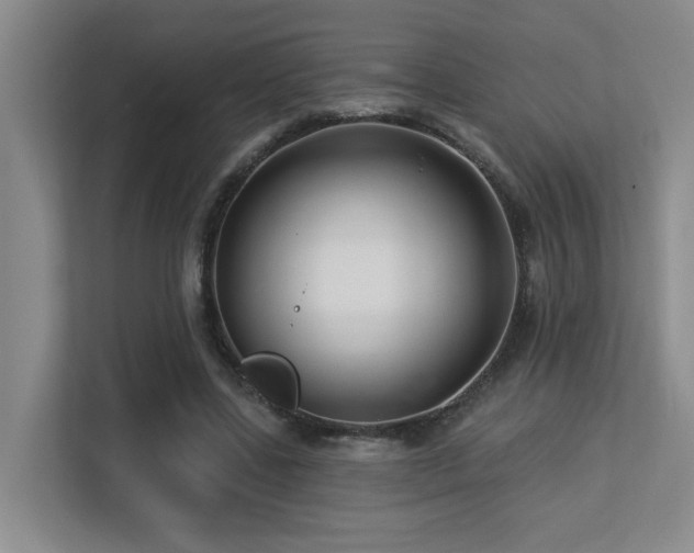 X0000113270539200909101521