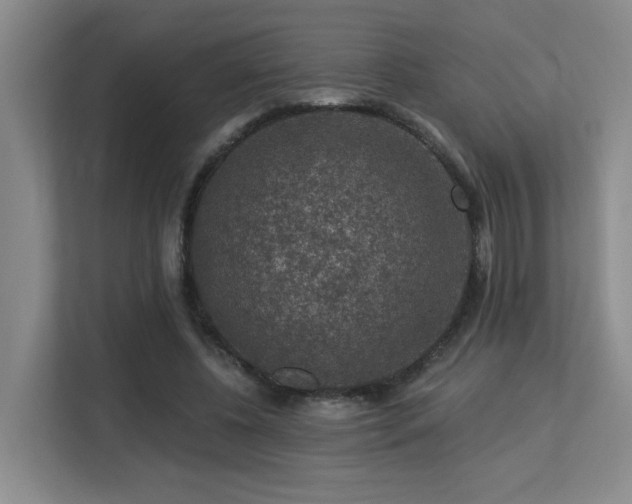 X0000113270540200909101521