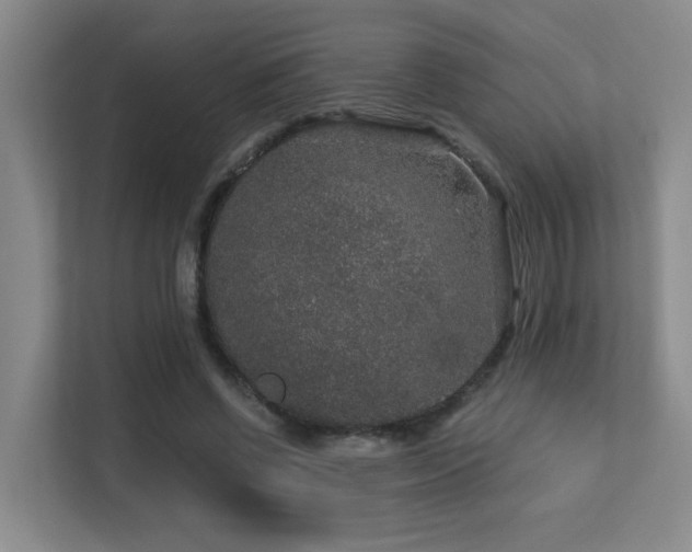 X0000113270542200909101521