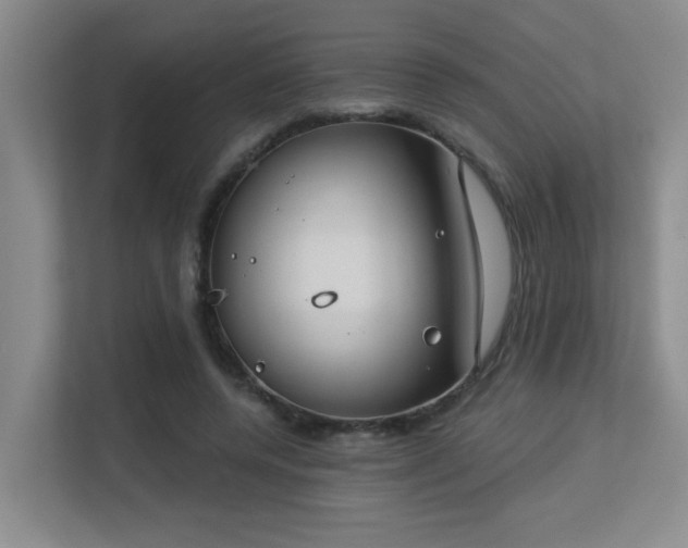 X0000113270544200909101521