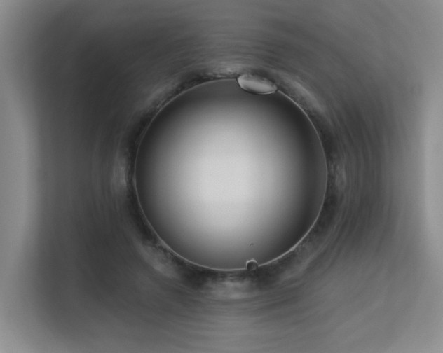 X0000113270546200909101521