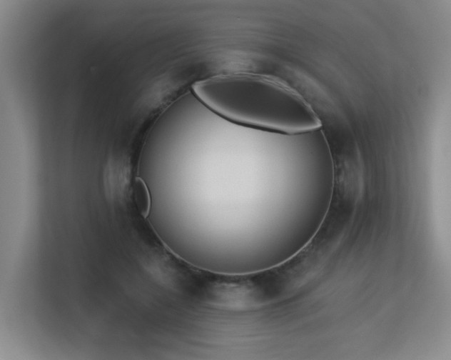 X0000113270548200909101521