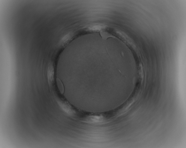 X0000113270552200909101521