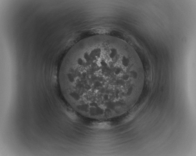 X0000113270553200909101521