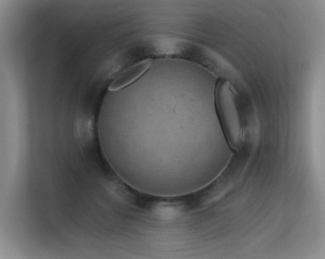 X0000113270556200909101521
