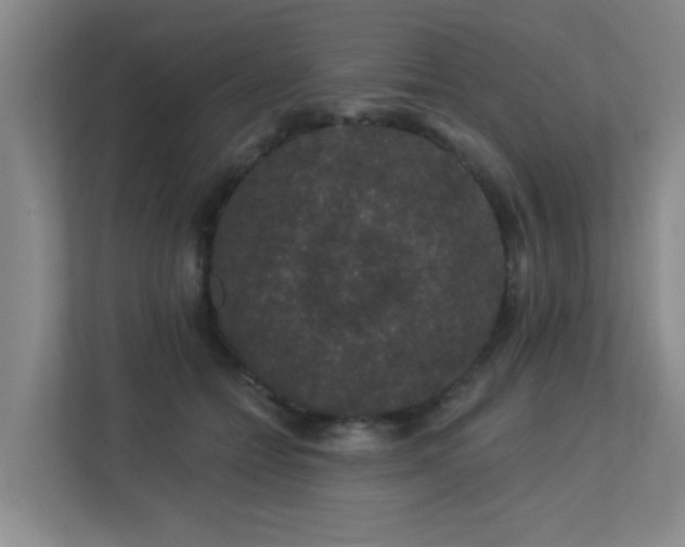X0000113270558200909101521
