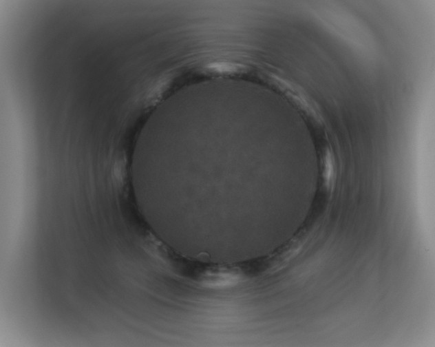 X0000113270559200909101521