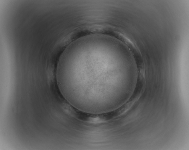 X0000113270561200909101521