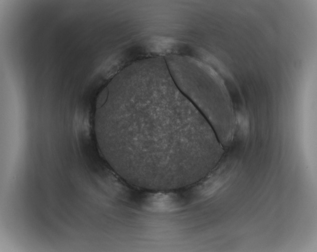 X0000113270566200909101521
