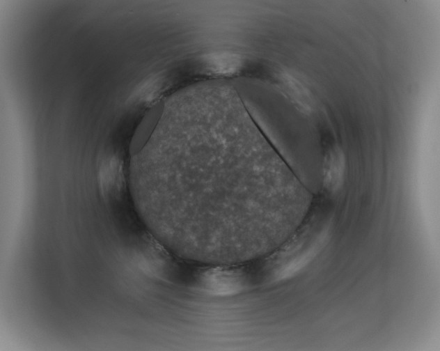 X0000113270568200909101521