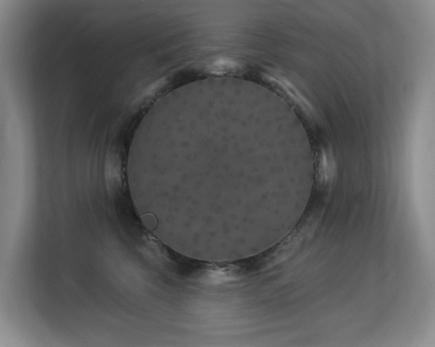 X0000113270569200909101521
