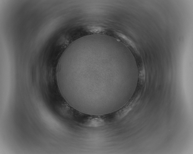 X0000113270572200909101521