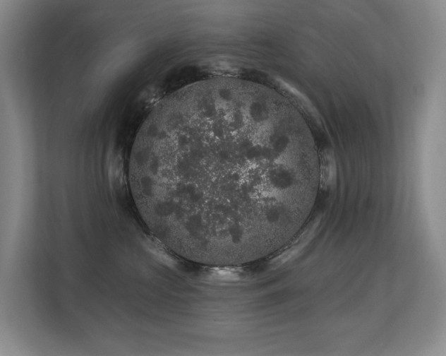 X0000113270573200909101521