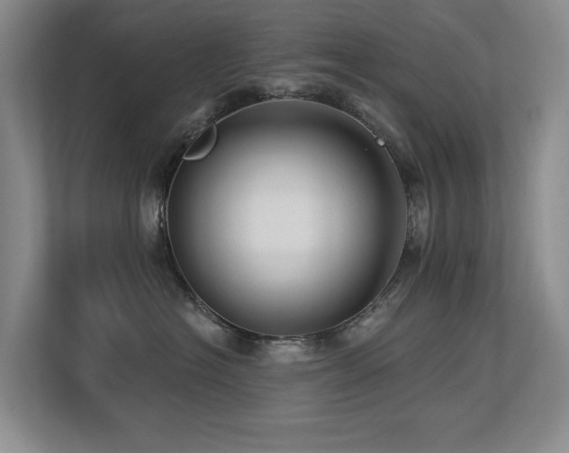 X0000113270574200909101521