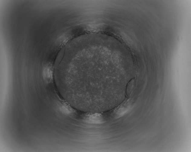 X0000113270576200909101521